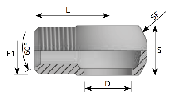 Pripojne oko BSP Banjo with thread BSP